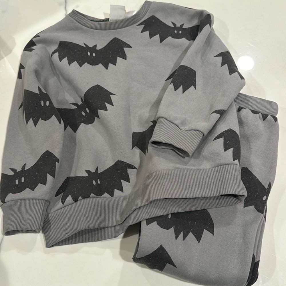 ZARA boys sweatsuit size 4-5